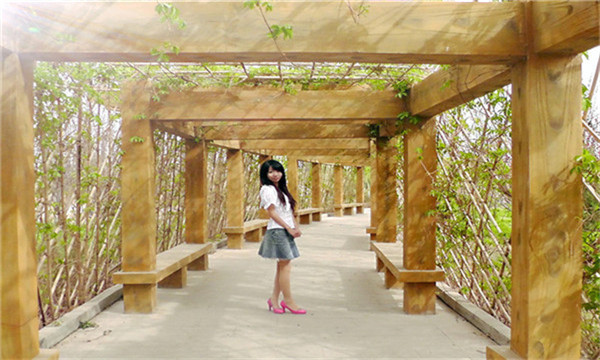 重庆我想花钱请人帮我生个孩子好吗,找人帮我生孩子 重庆我想花钱请人帮我生个孩子好吗,找人帮我生孩子